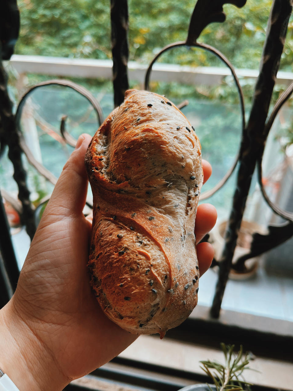 9升烤箱的食物探索