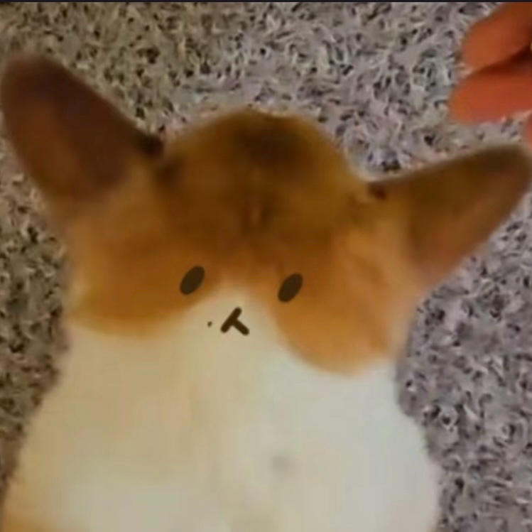 厨神i