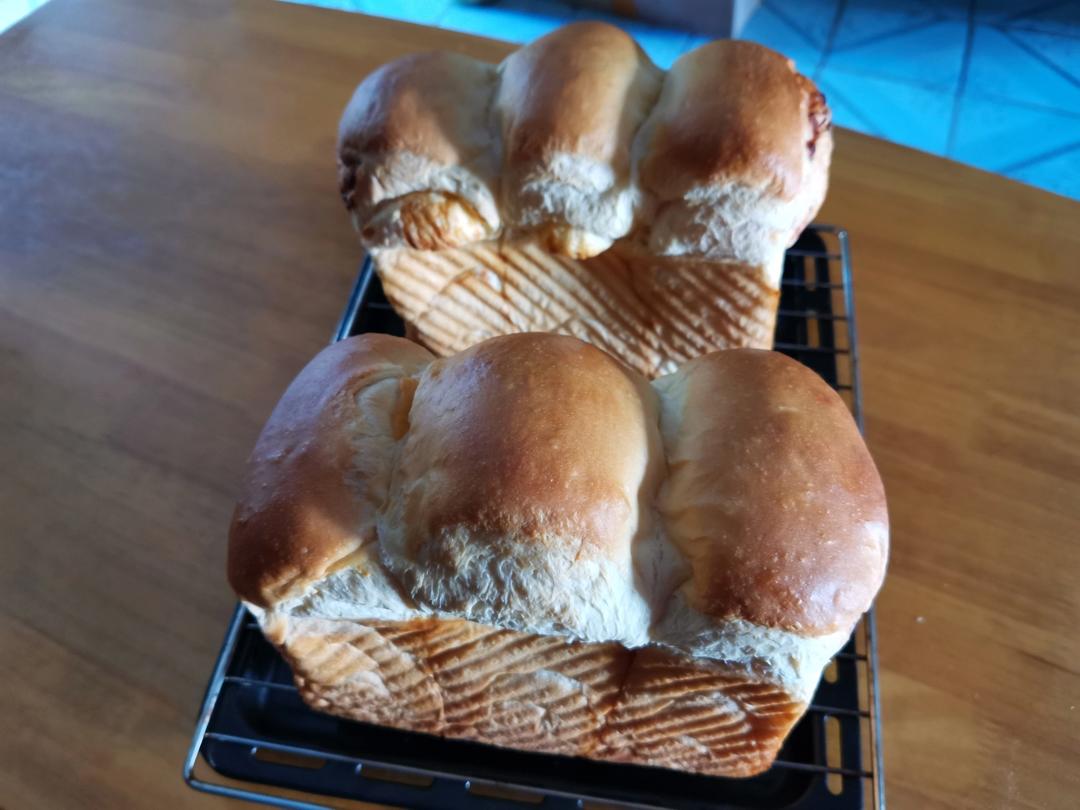 温柔咸香--奶盐小吐司