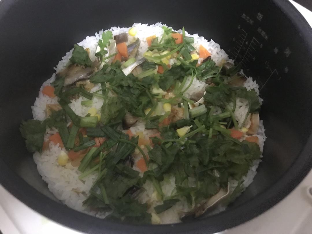 懒人电饭煲焖饭 零失败