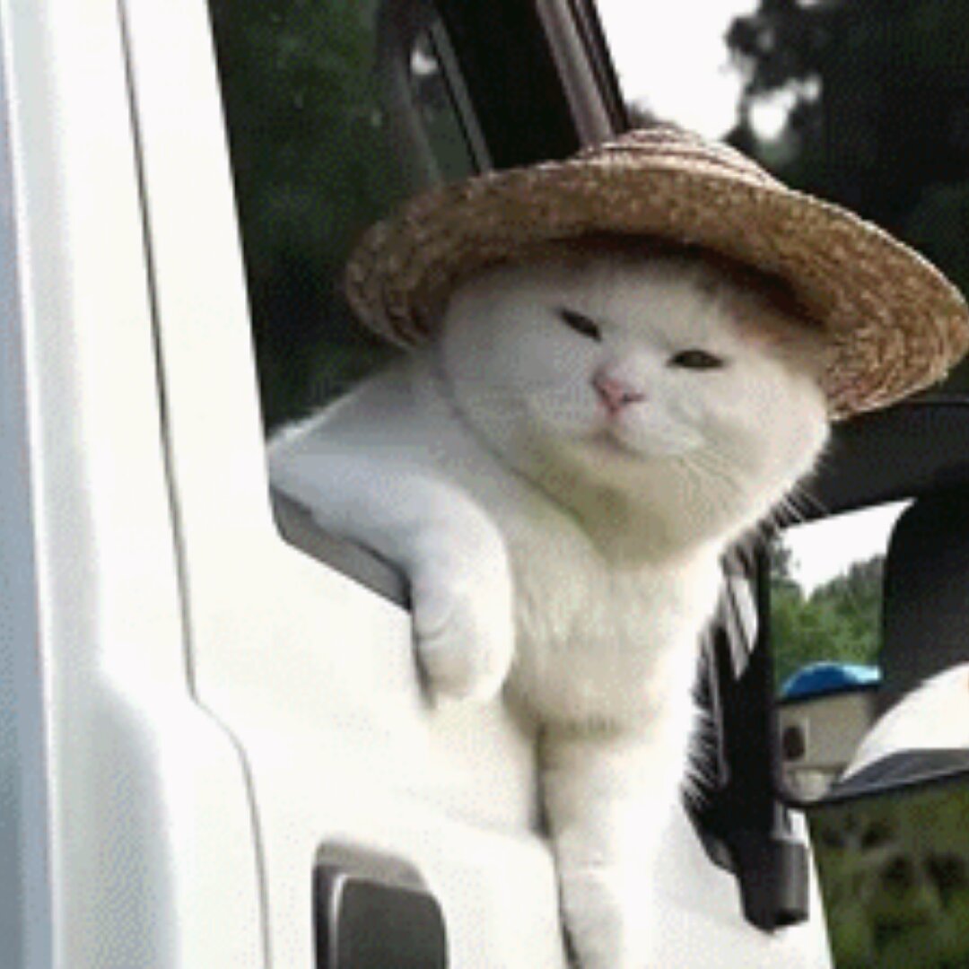 乱舞姥姥
