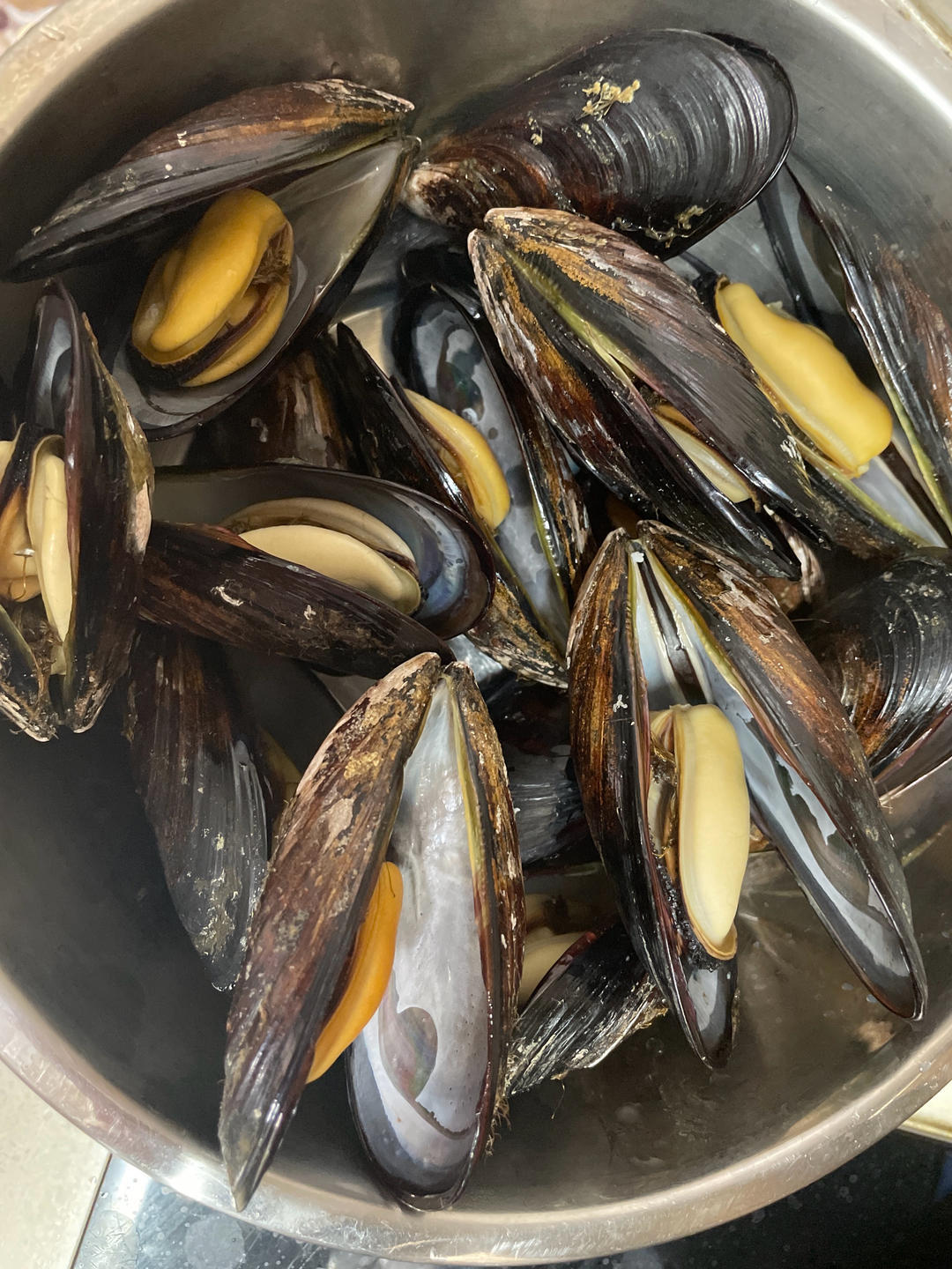 清蒸海虹（青口贝）