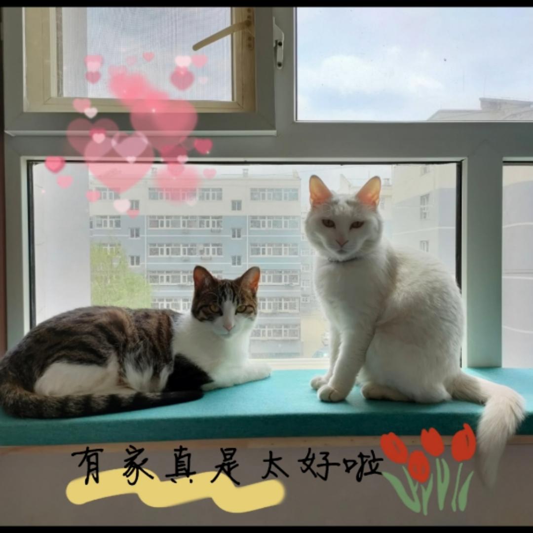Renee的美丽生活
