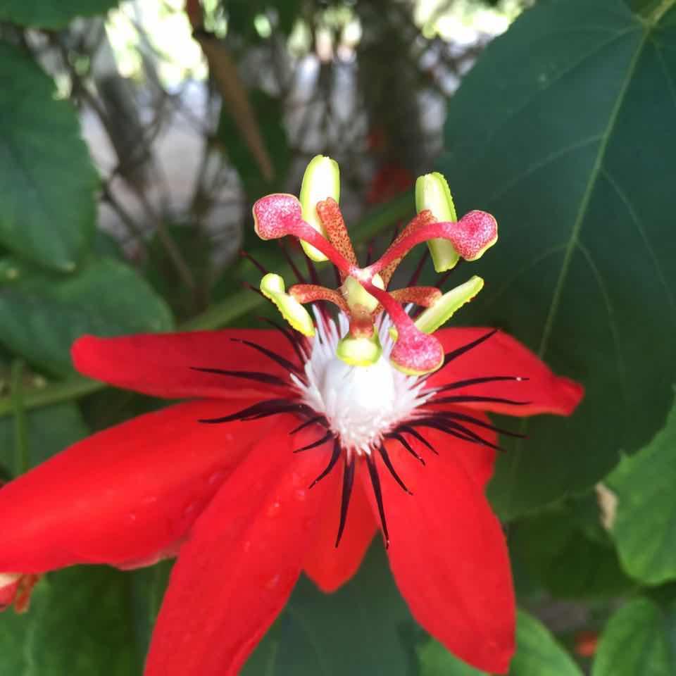 手机用户1377_tqds