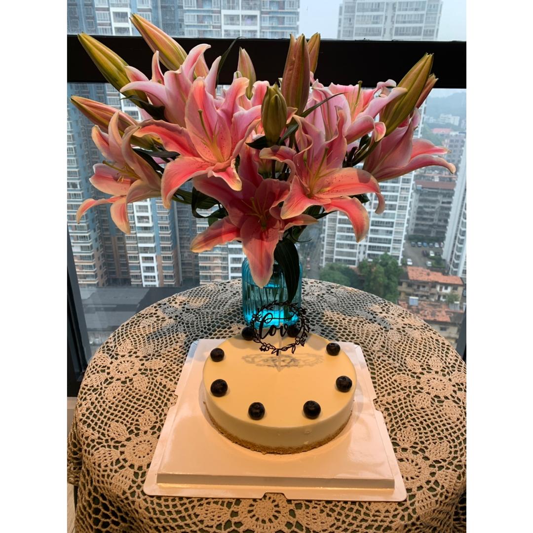 纯洁如你——酸奶冻芝士（6寸）
