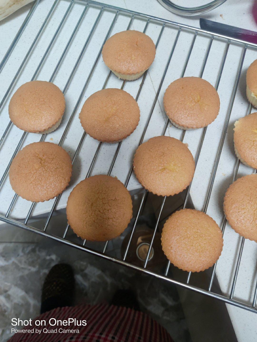 全蛋海绵纸杯蛋糕