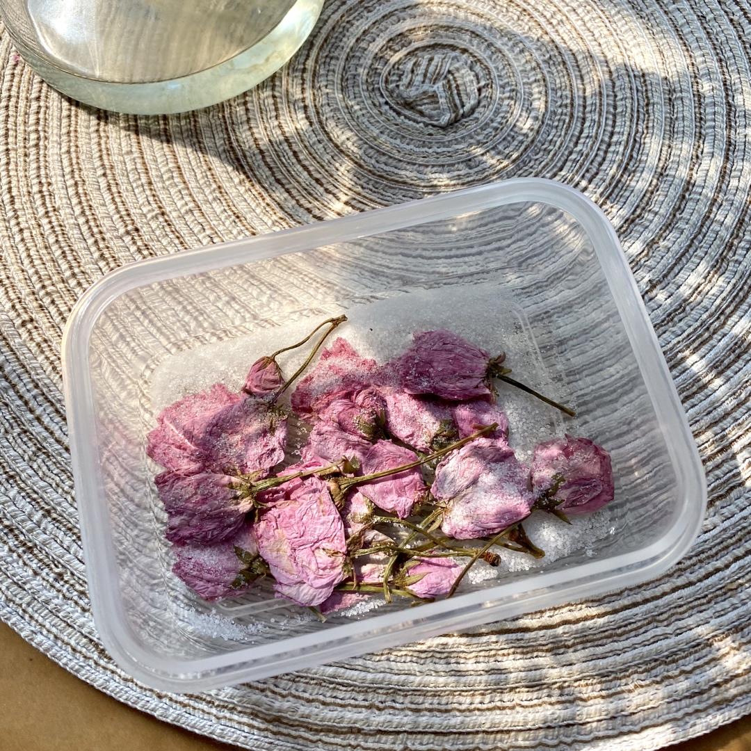 盐渍樱花樱叶~历经惨痛教训，无私经验分享