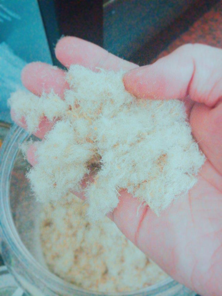 婴儿猪肉松（无盐无油）