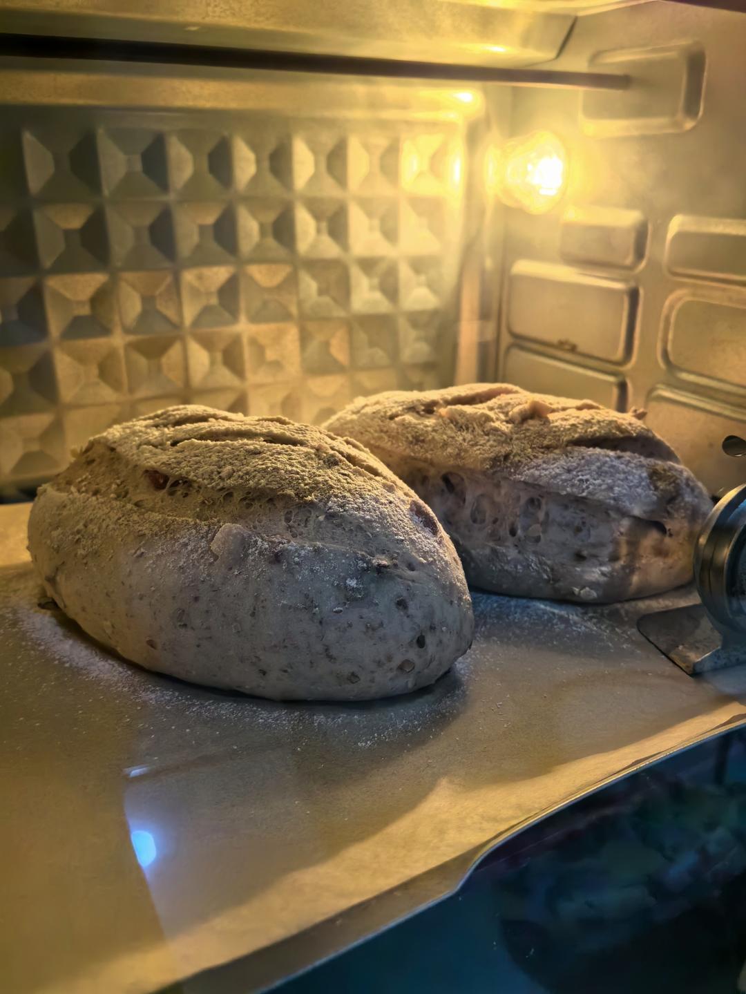 波兰种全麦坚果软欧包