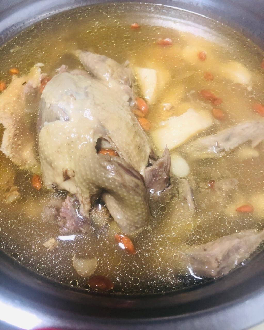 红枣枸杞乳鸽汤