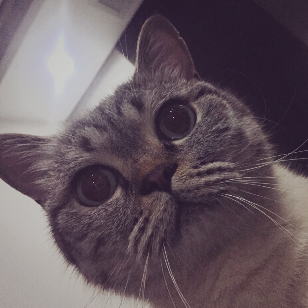 差一点点被注册了