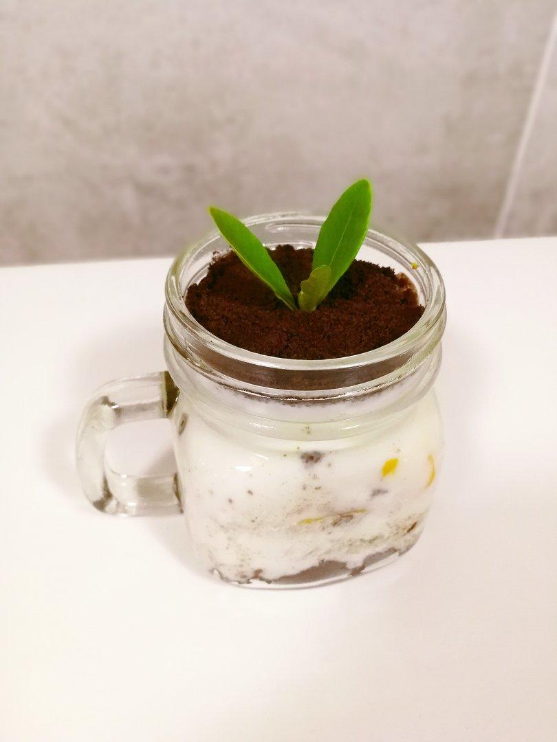 奥利奥酸奶盆栽