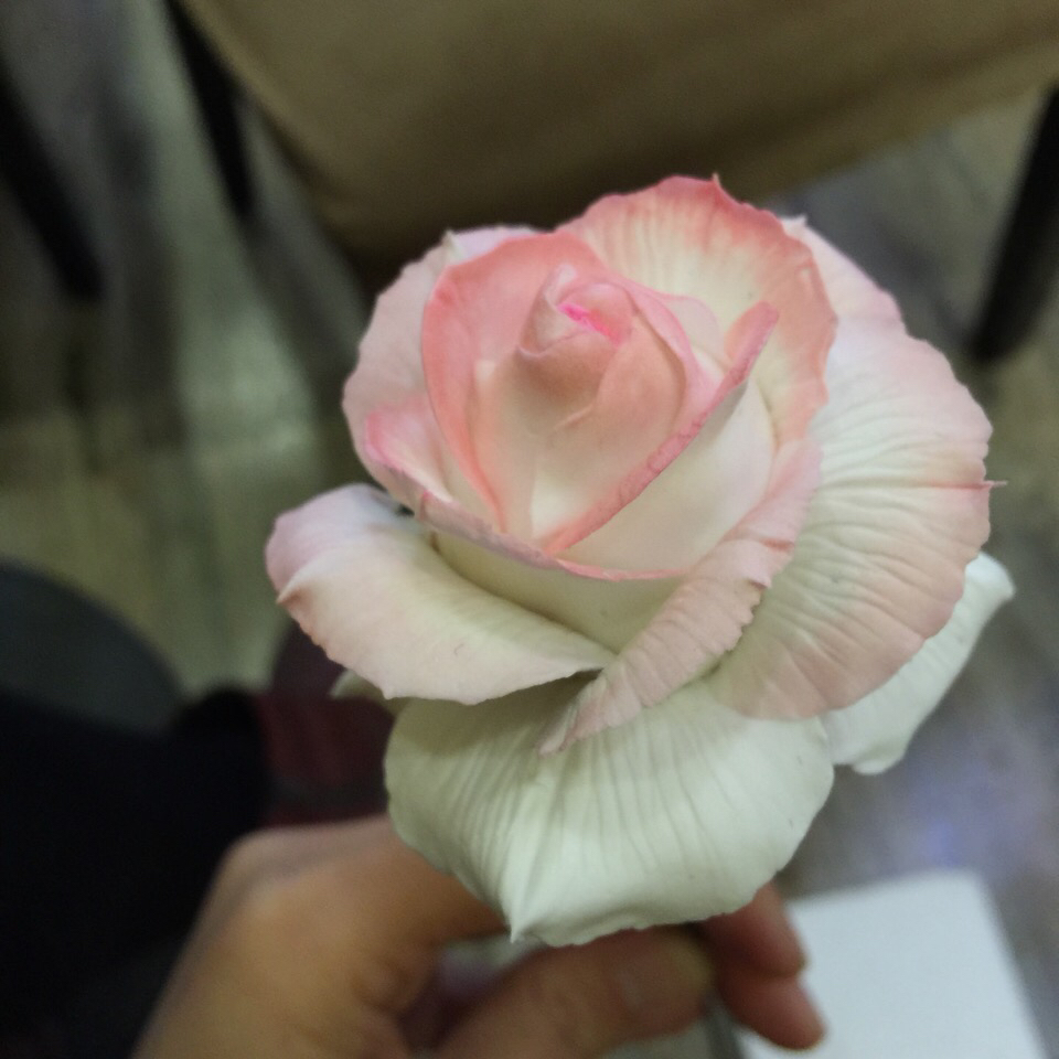 翻糖月季花（玫瑰花）