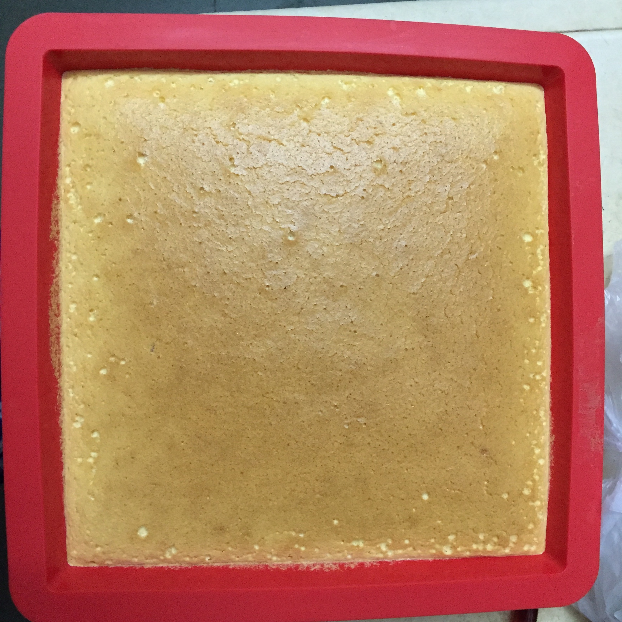 只用淡奶油做的乳酪蛋糕