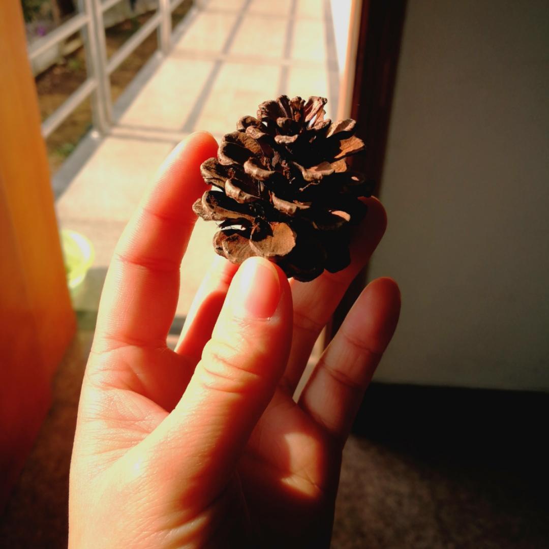 她真的很可爱