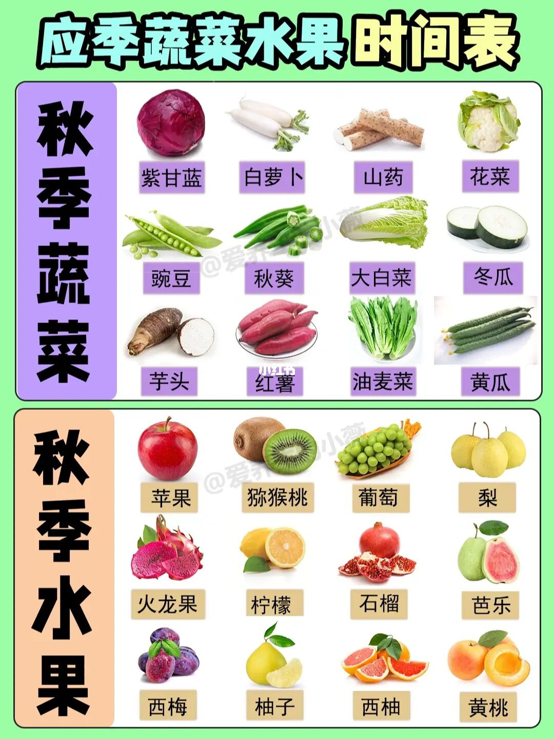 四季水果蔬菜的做法 步骤3