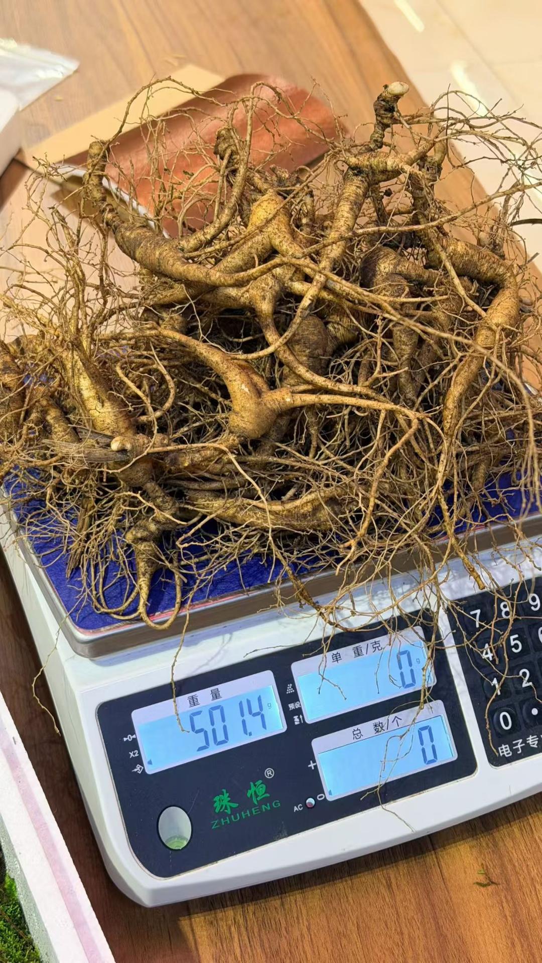 鲜野山参的各种吃法，大补元气