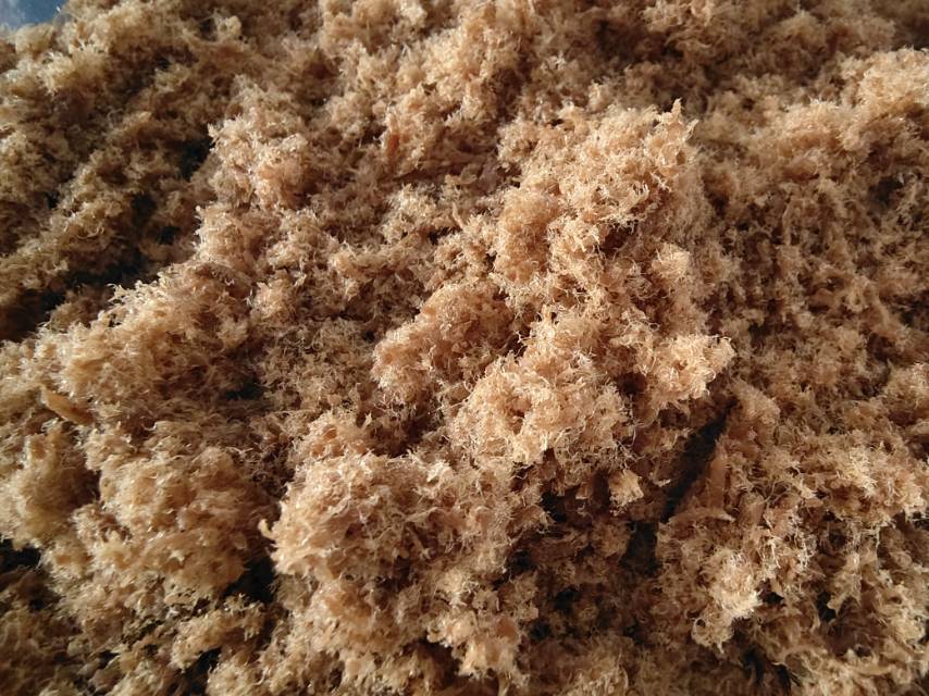 自制肉松(面包机版)