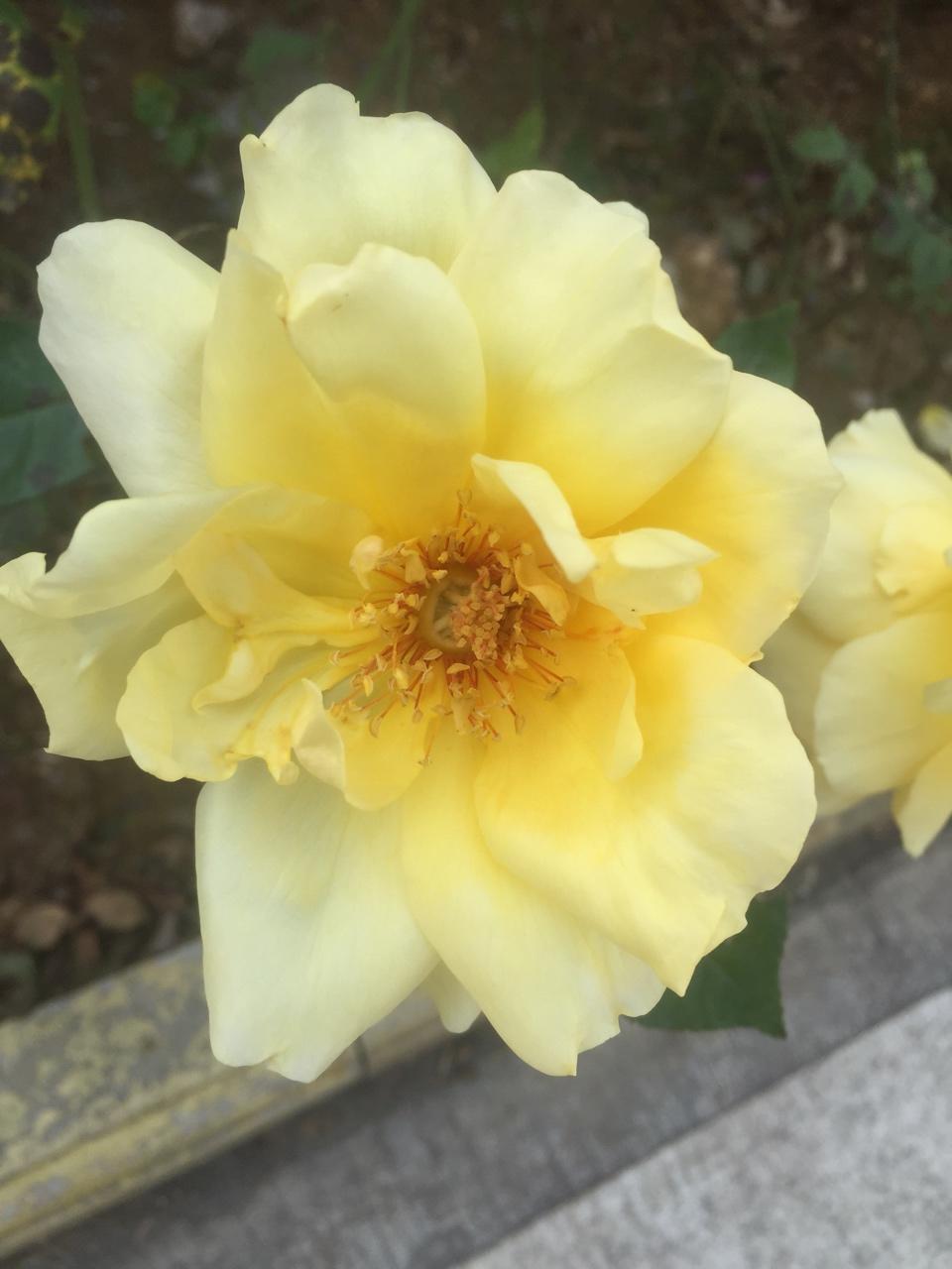 2017年10月30日