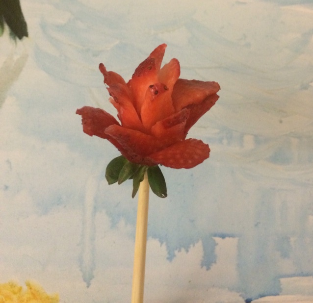 草莓玫瑰花