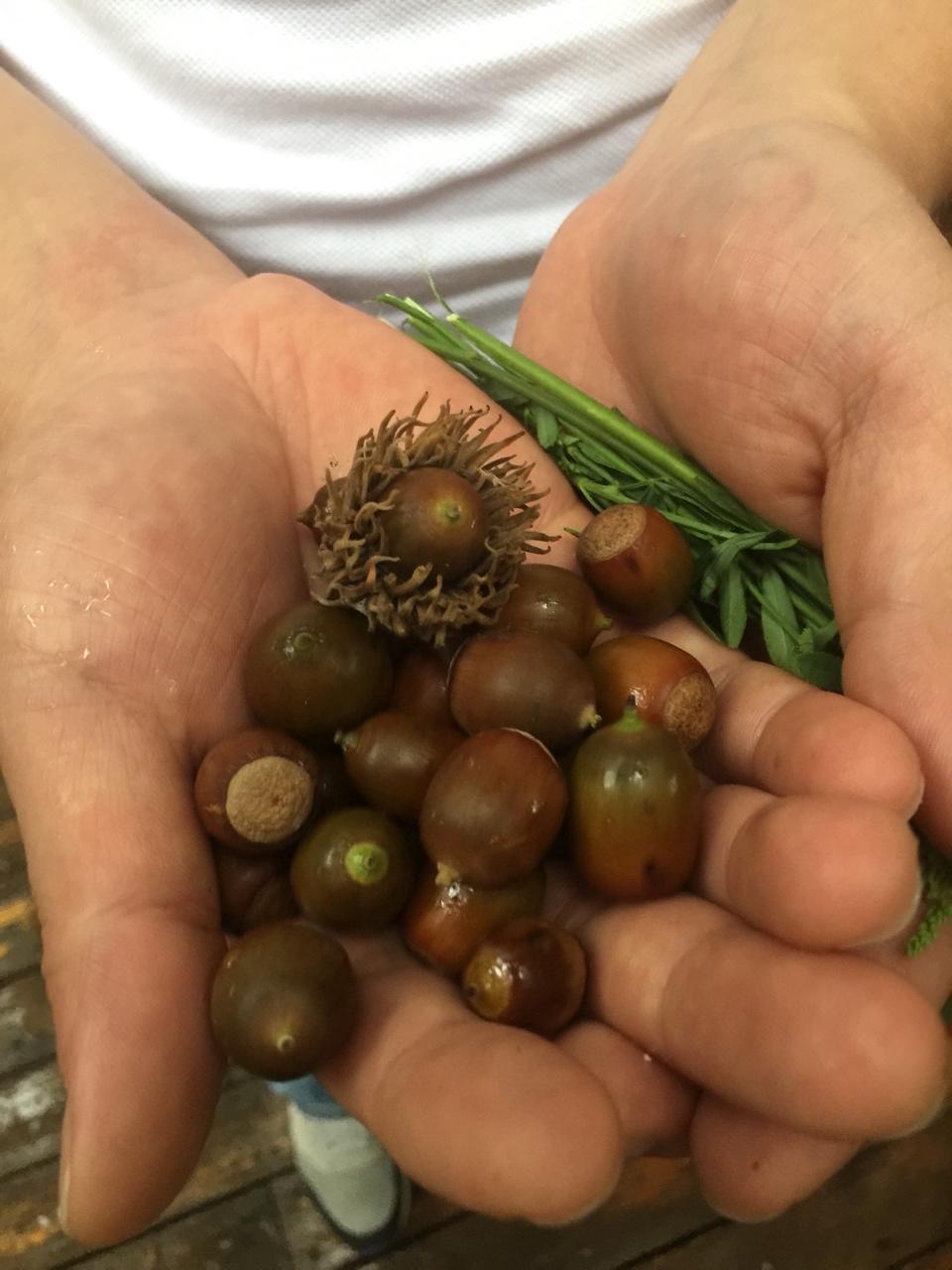 烤榛子（烤箱简易版）