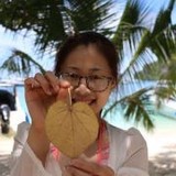 诺米一一