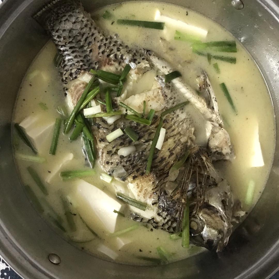 奶白鲫鱼豆腐汤|一条鱼最后的温柔