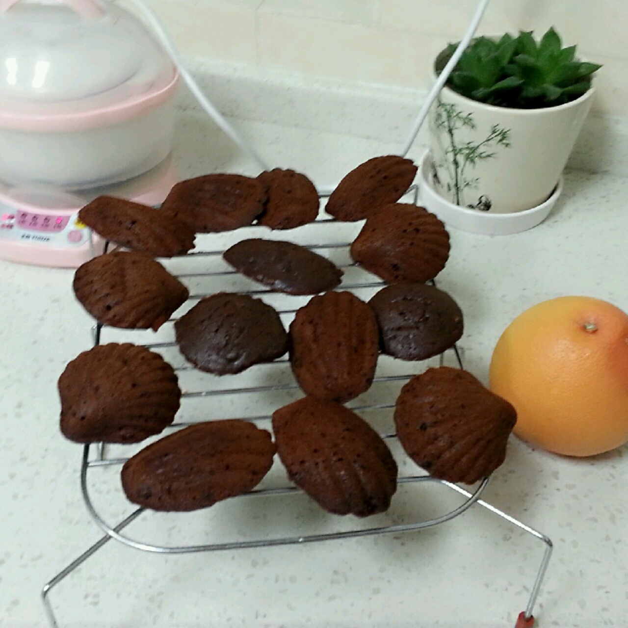 黑贝壳（威士忌黑巧克力玛德琳）