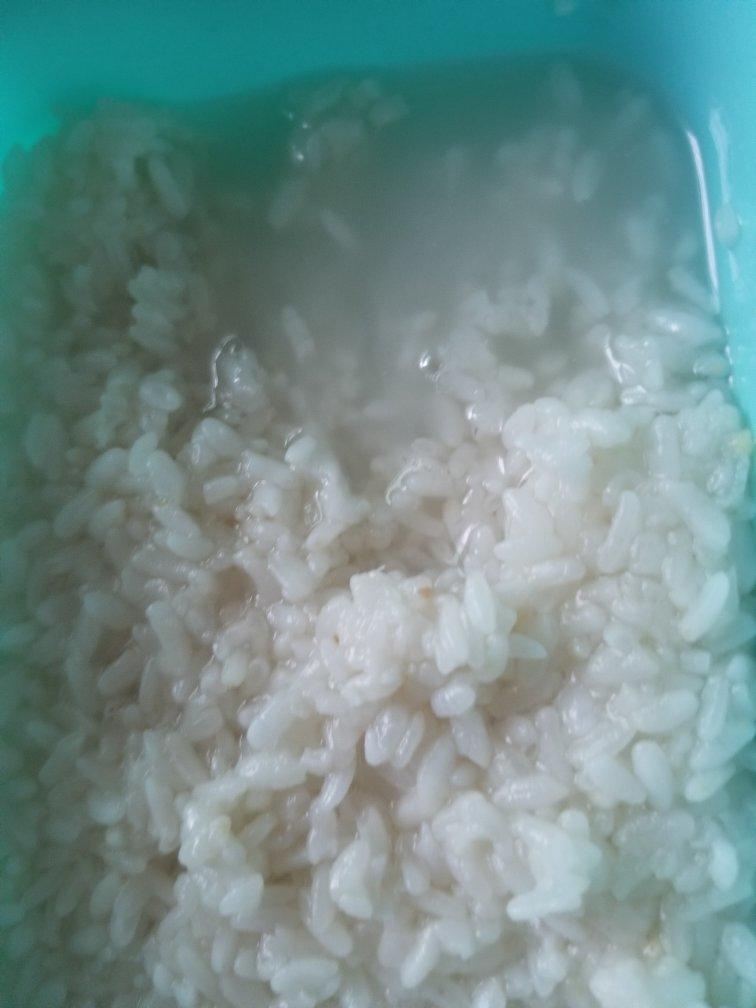 自制｜甜酒酿（醪糟）