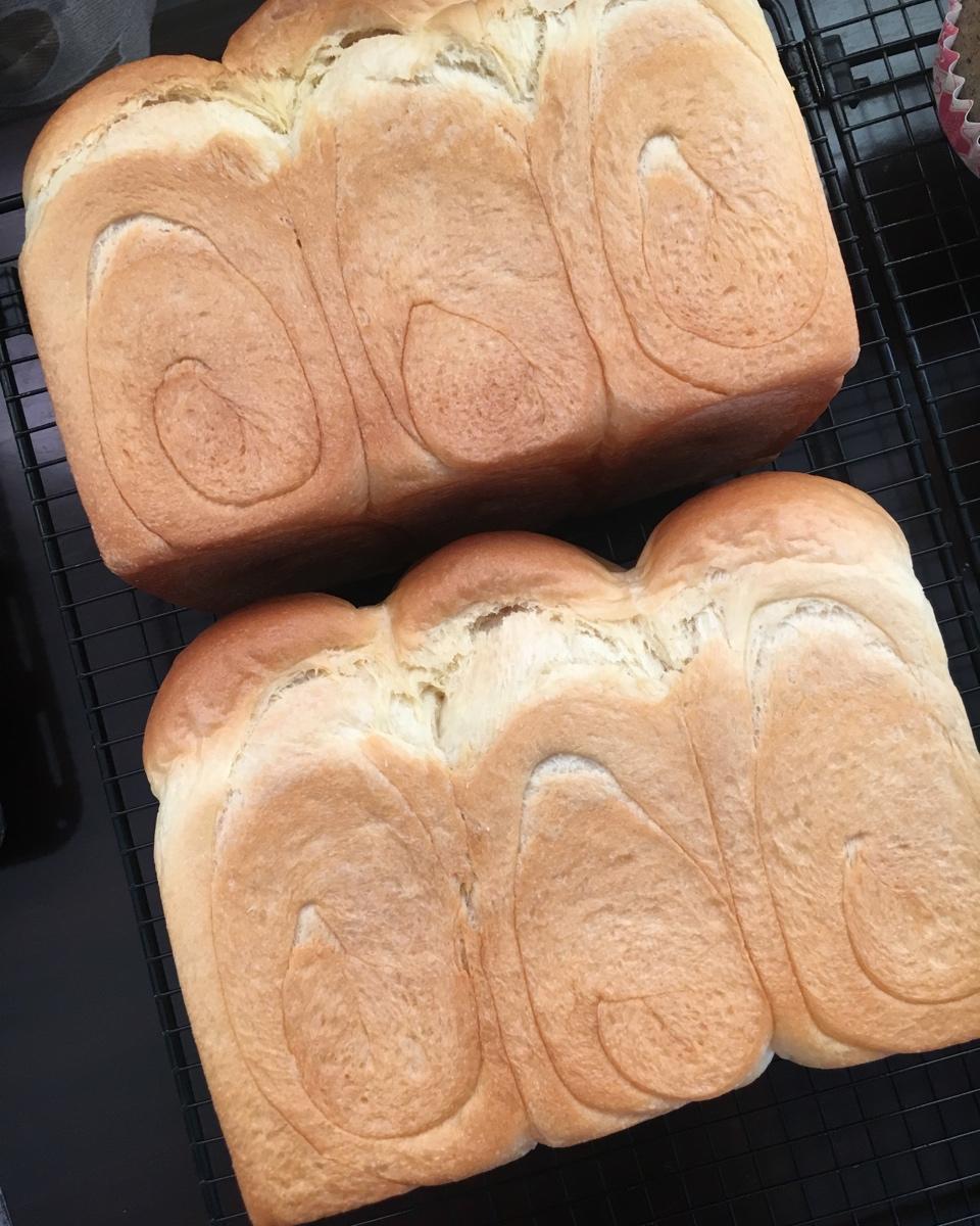 我的100个吐司练习