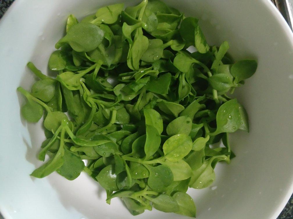 水火亦相融做的凉拌田七叶