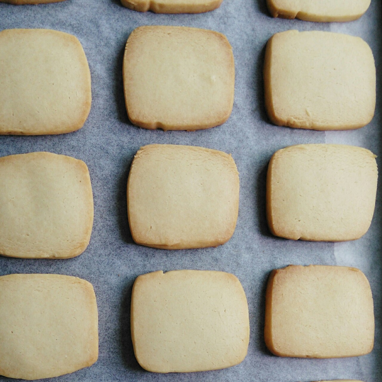 【炼乳脆饼•硬】非常简单的硬饼干