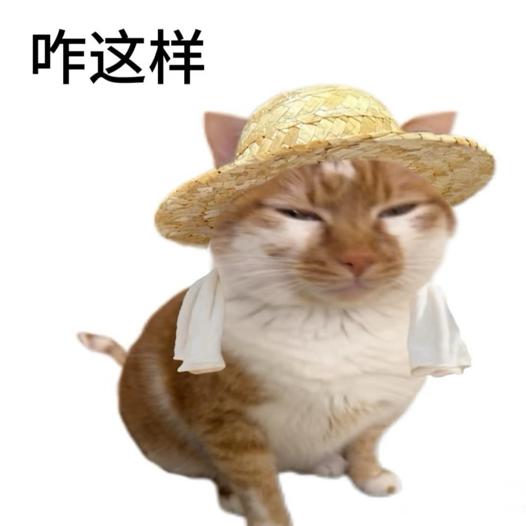 不要糊锅了再