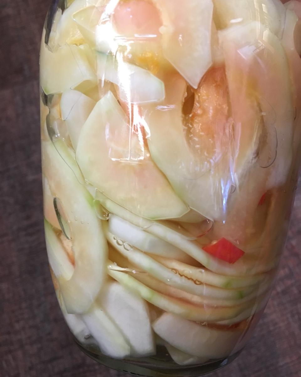 你才到碗里去x做的腌木瓜