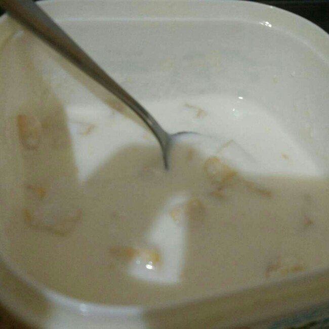 自制酸奶