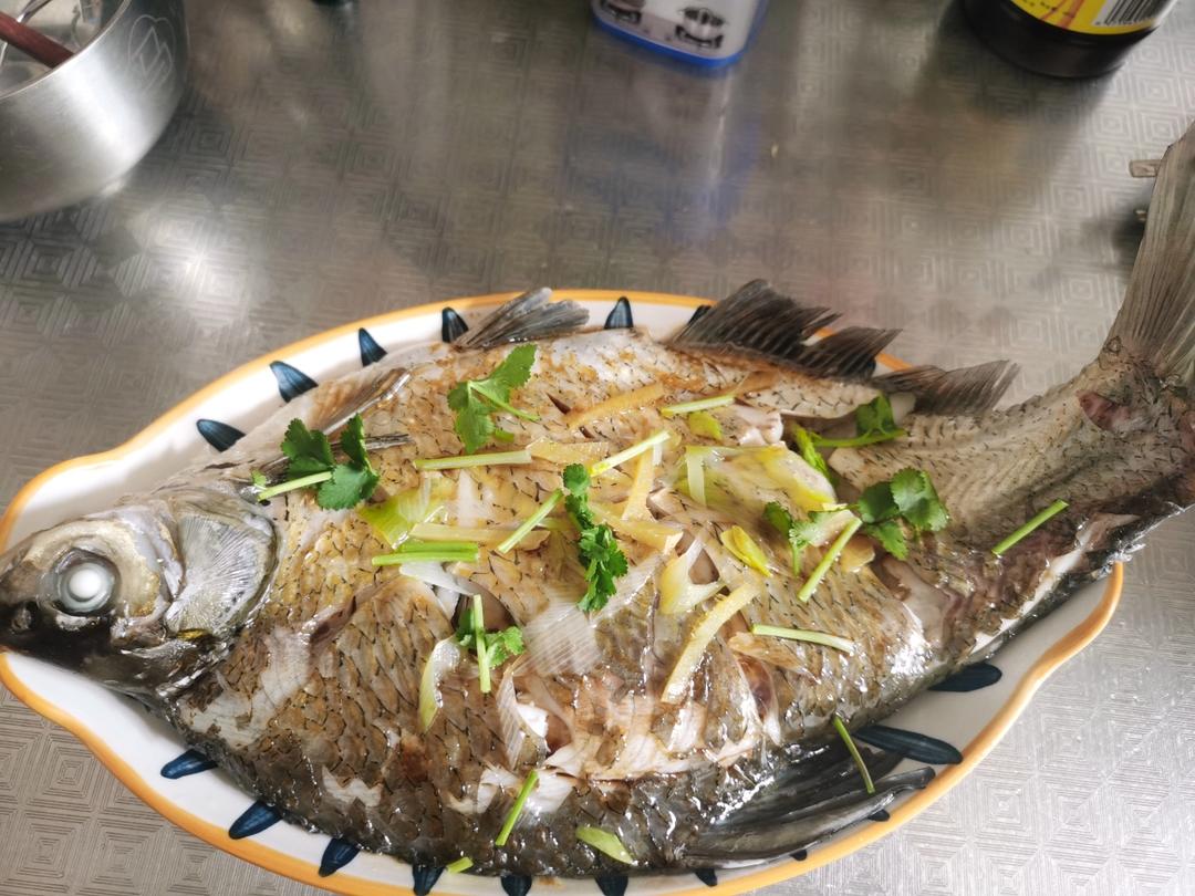 清蒸武昌鱼