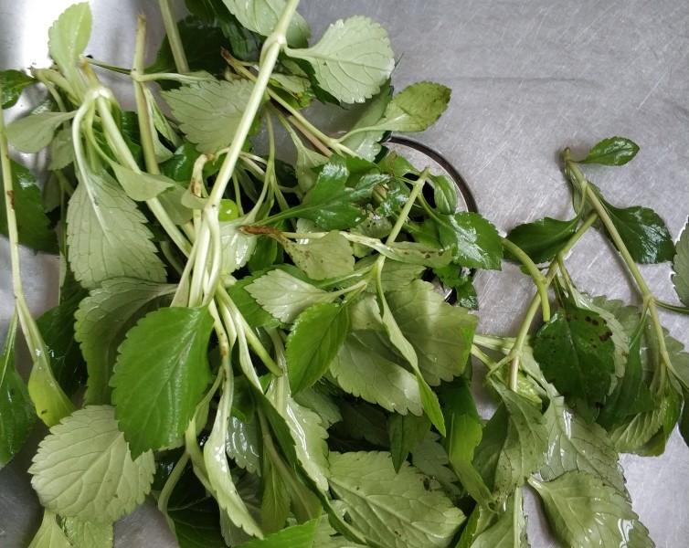 步骤图 小肠苦菜汤的做法 小肠苦菜汤的做法步骤 菜谱 下厨房 步骤图 小肠苦菜汤的做法 小肠苦菜汤的做法步骤 菜谱 下厨房