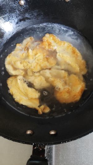 超级好喝的平菇鸡蛋汤的做法 步骤5