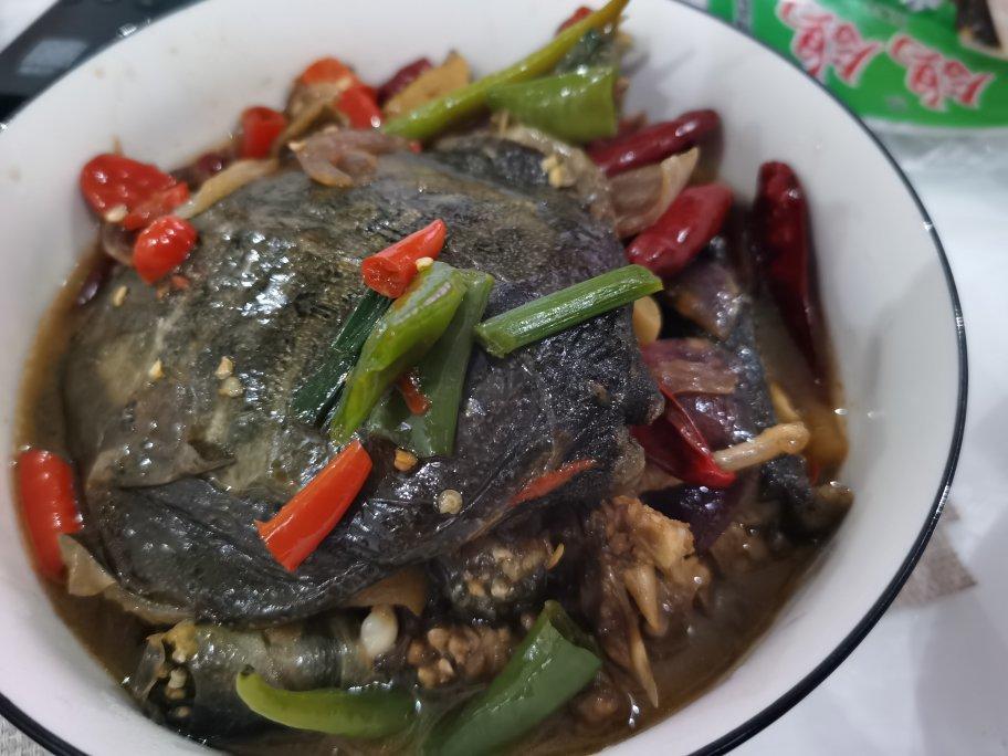 红烧甲鱼