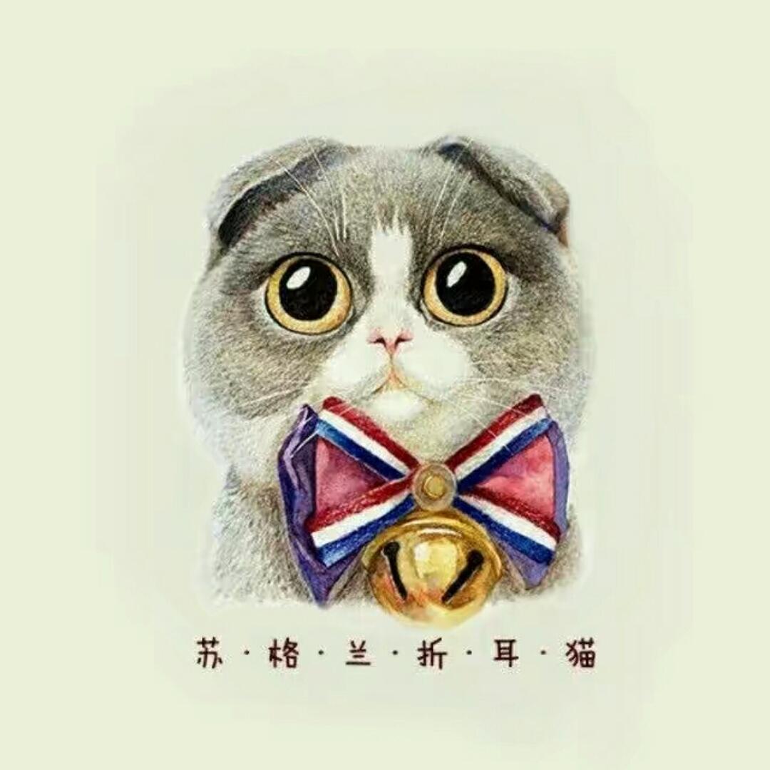 小五夫人