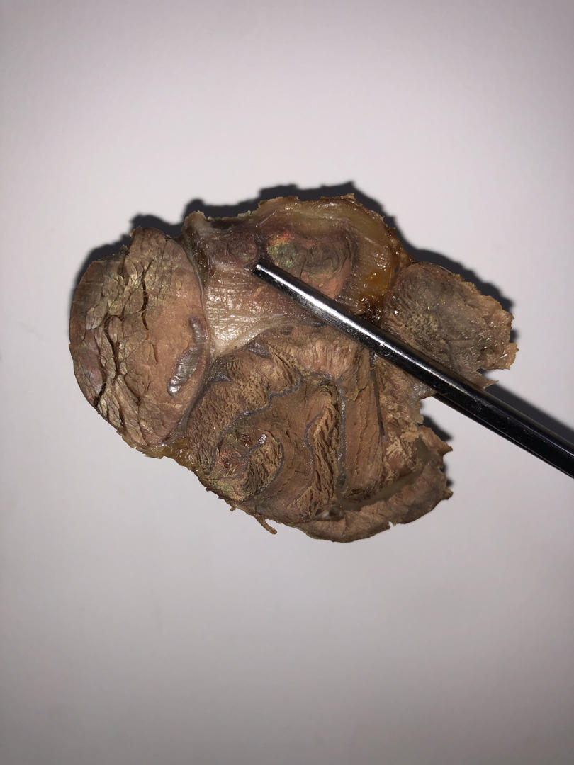 老妈秘制卤牛肉（附老卤养护大法）
