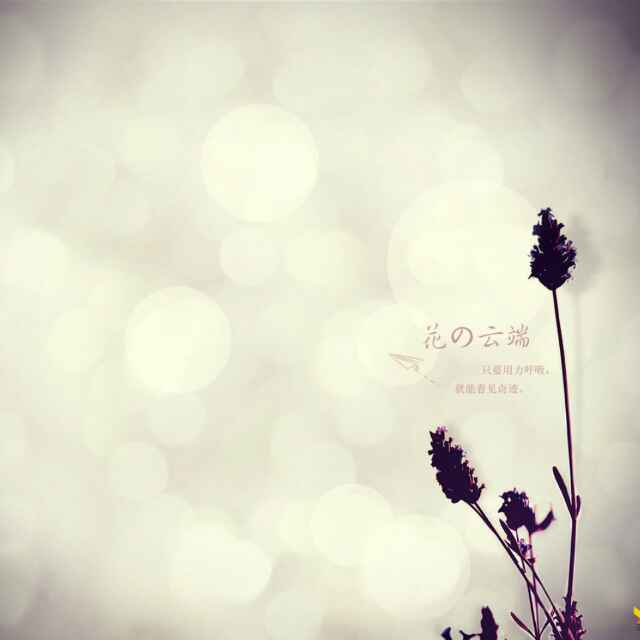 冰淇淋_ws03