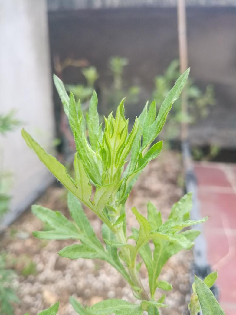 2023.简简单单