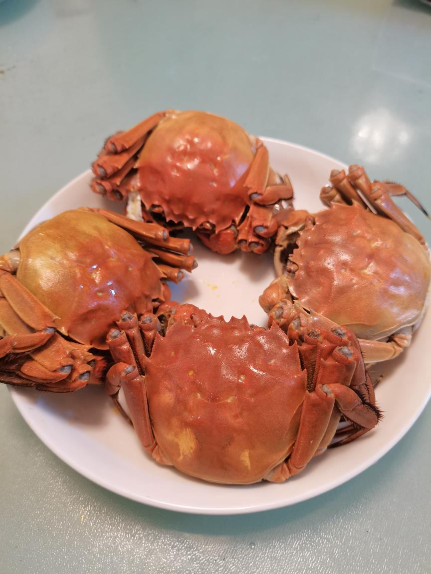 清蒸大闸蟹🦀🦀🦀（这菜太简单，不知道该写点啥）的做法