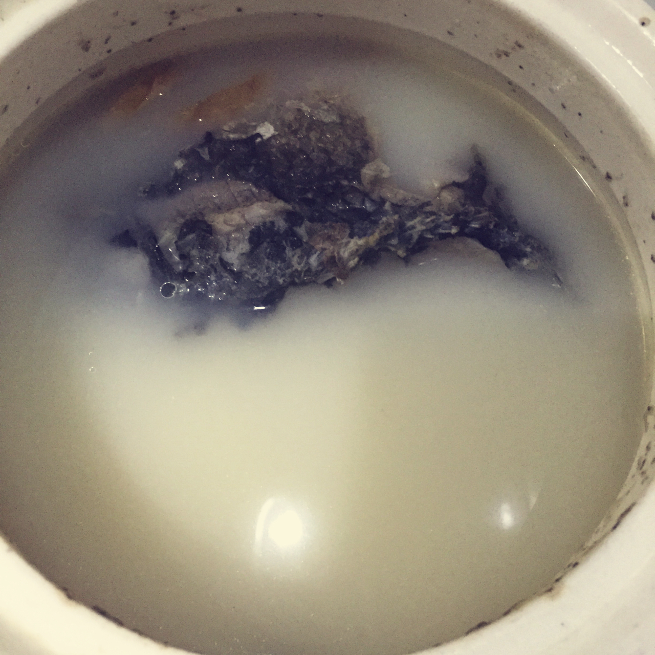 奶白鲫鱼汤