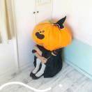 你的炒饭香不香