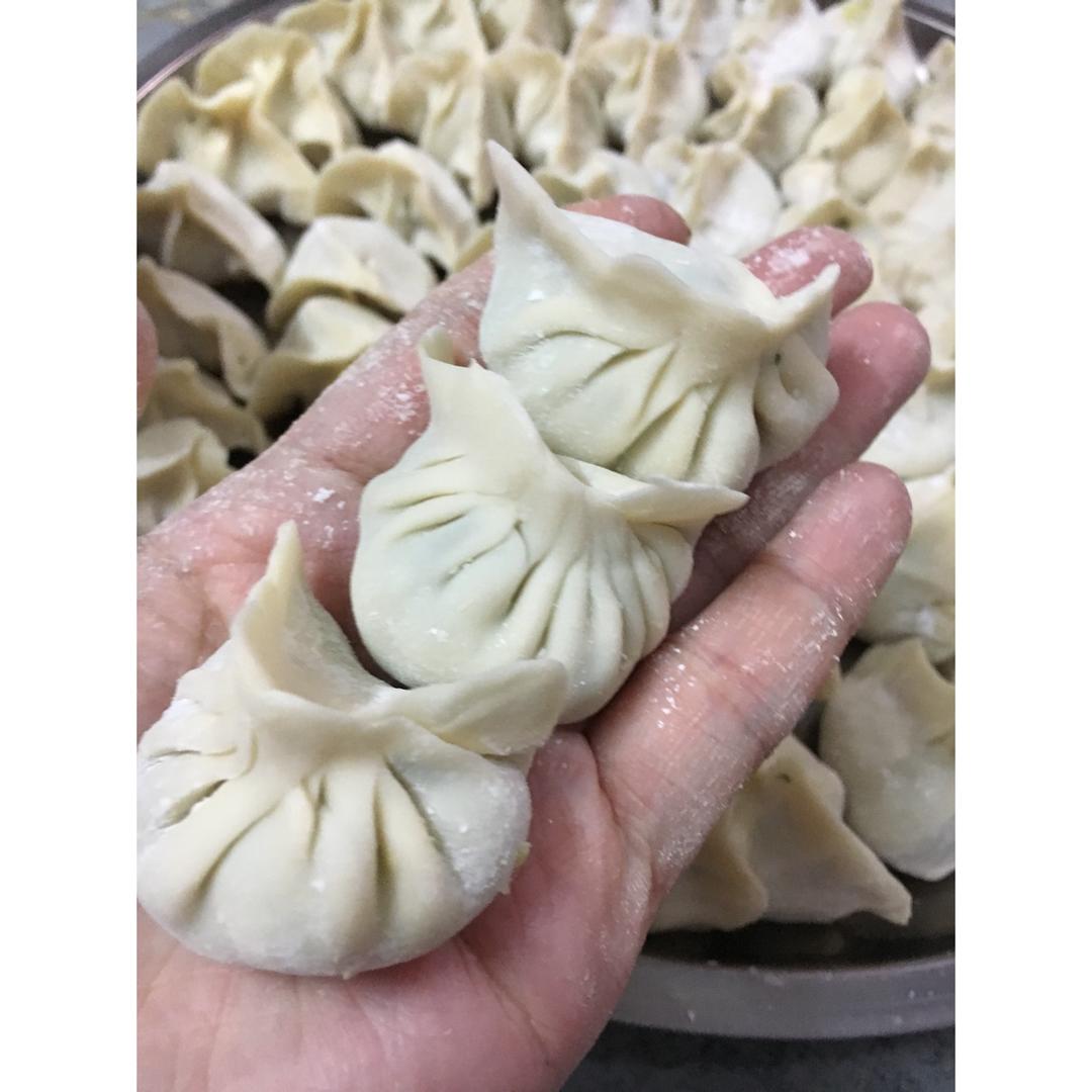 荠菜鲜肉饺子
