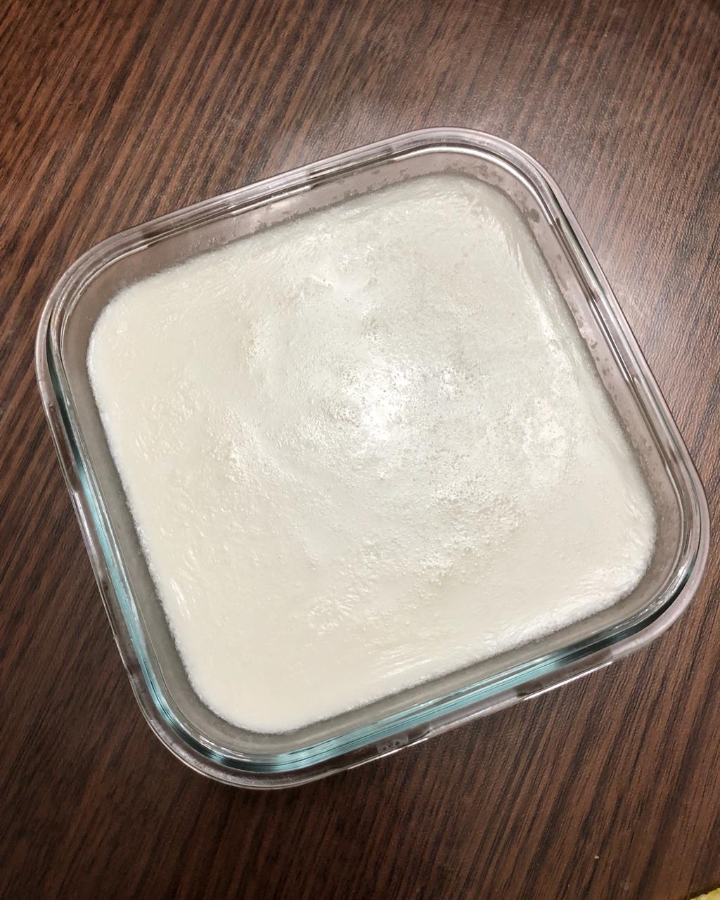 顺德双皮奶