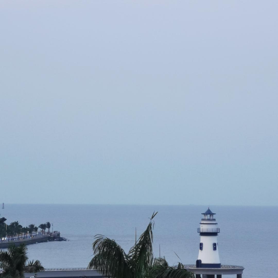 小乖乖沈点花