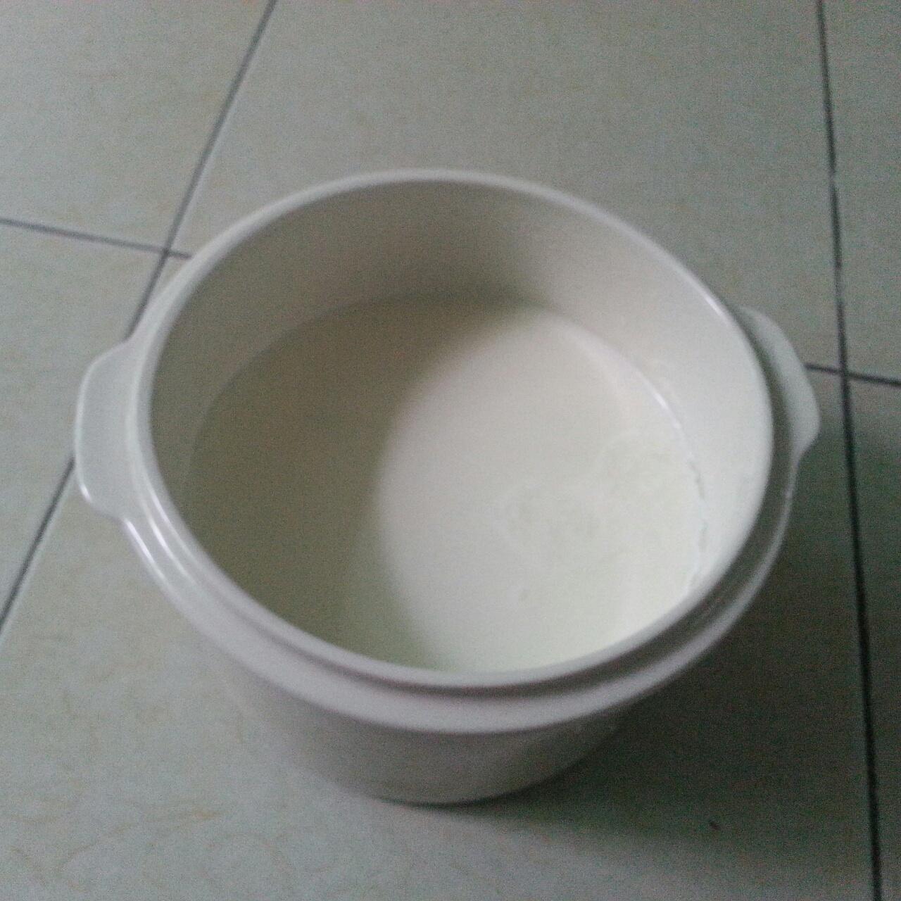 隔水炖版酸奶